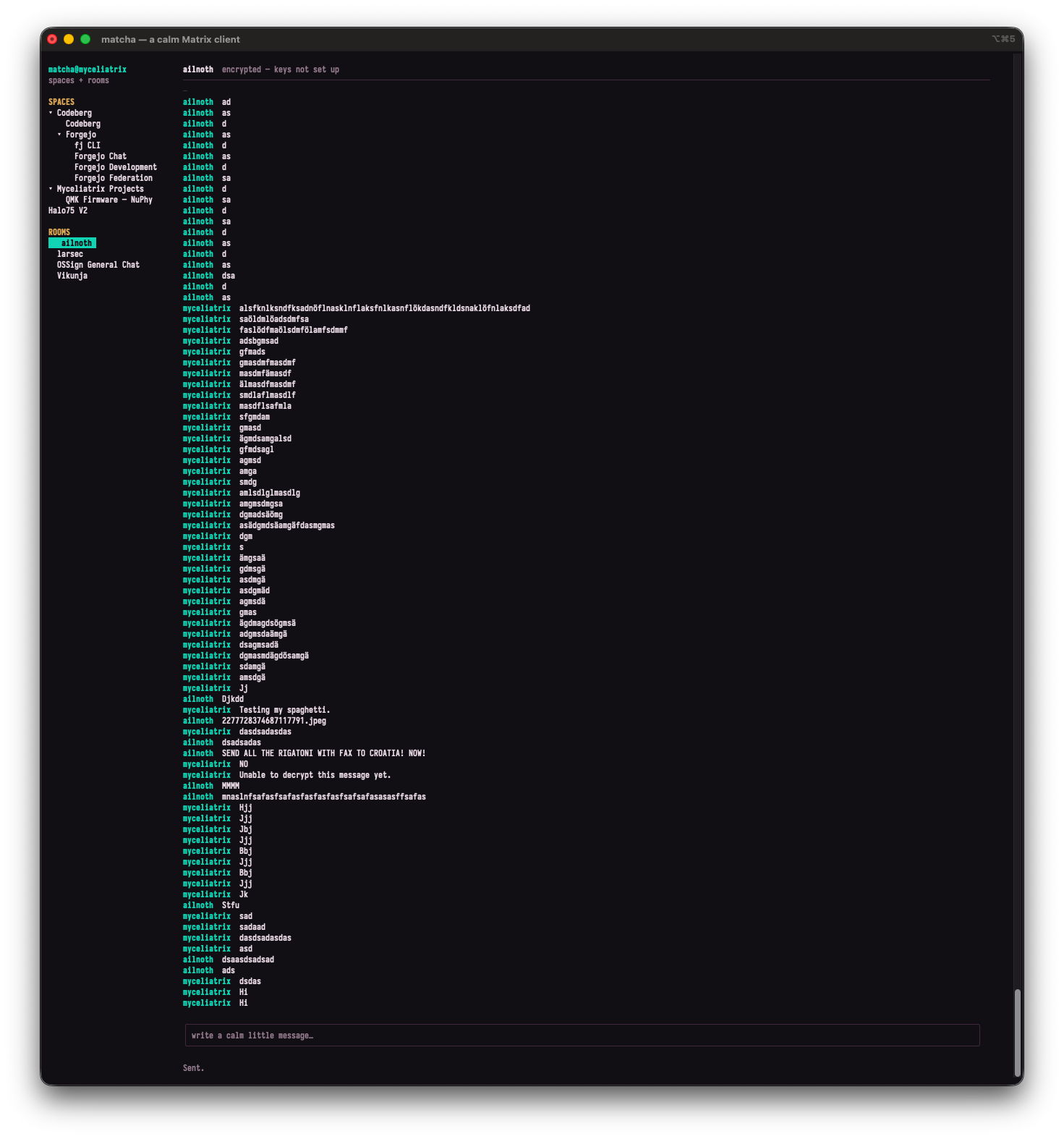 This image is a screenshot of a minimalist, terminal-based chat application called "matcha — a calm Matrix client." The interface features a dark background with text in white, cyan, and light grey, giving it a programmer-centric or retro command-line aesthetic.

The layout is divided into three main sections:

    Left Sidebar: Displays a collapsible list of "SPACES" and "ROOMS." Some visible spaces include "Codeberg" and "Forgejo," while rooms include "ailnoth," "larsec," and "Vikunja." The room "ailnoth" is currently highlighted in cyan, indicating it is the active chat.

    Main Chat Window: Shows an active conversation primarily between two usernames: "ailnoth" and "myceliatrix," both colored in cyan. Rather than a real conversation, the chat is filled with rapid-fire keyboard smashes (like "as," "d," "sa," and long strings of random letters), test messages, and a few absurd, humorous outbursts like "Testing my spaghetti." and "SEND ALL THE RIGATONI WITH FAX TO CROATIA! NOW!". It appears the users are simply testing the chat client's functionality. At the very top of this section, a small warning reads "encrypted - keys not set up."

    Bottom Input Area: Features a simple text entry box containing the placeholder text, "write a calm little message…", with the word "Sent." resting just below it.

Overall, the image captures a software testing session in a highly stylized, text-only chat interface.